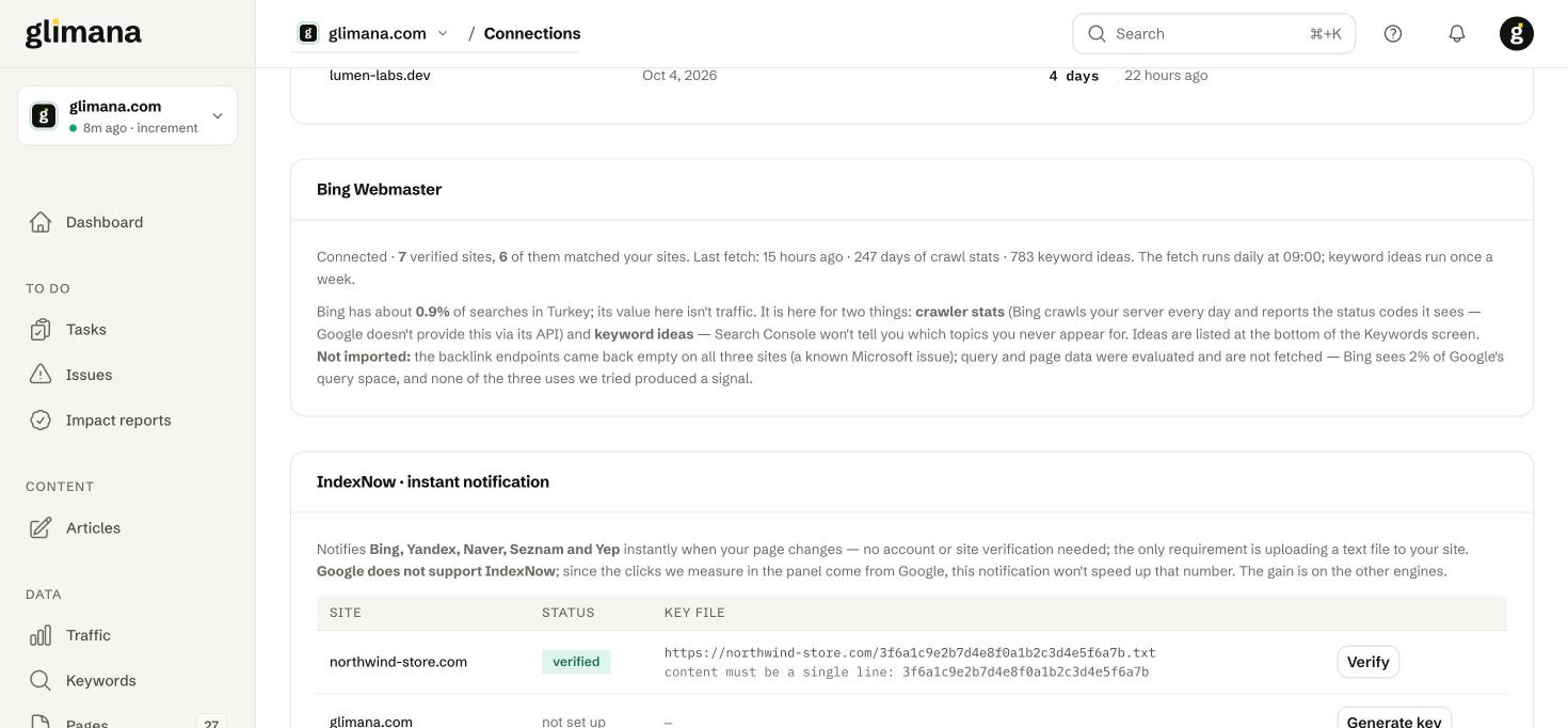 Bing Webmaster status and the IndexNow key table.